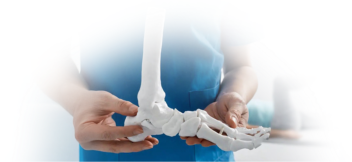 A healthcare worker holding an anatomical model of a foot.